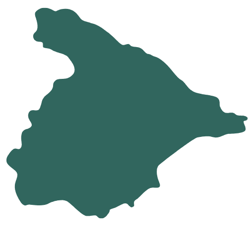 ddp Spain team at work